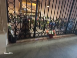 EN DIRECT DE LISIEUX !!!