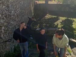 Retour en image sur l'après-midi jardinage des 4/3...