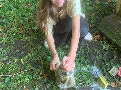 Retour en image sur l'après-midi jardinage des 4/3...