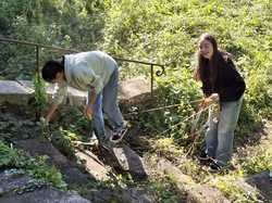 Retour en image sur l'après-midi jardinage des 4/3...