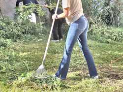 Retour en image sur l'après-midi jardinage des 4/3...