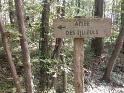 Retour en images sur la journée de rentrée du 28 septembre 2025