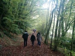 WEEK-END DE RENTREE A PONTMAIN Oct 2016