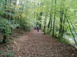 WEEK-END DE RENTREE A PONTMAIN Oct 2016